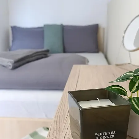 Cozy Renovated New Apartament *