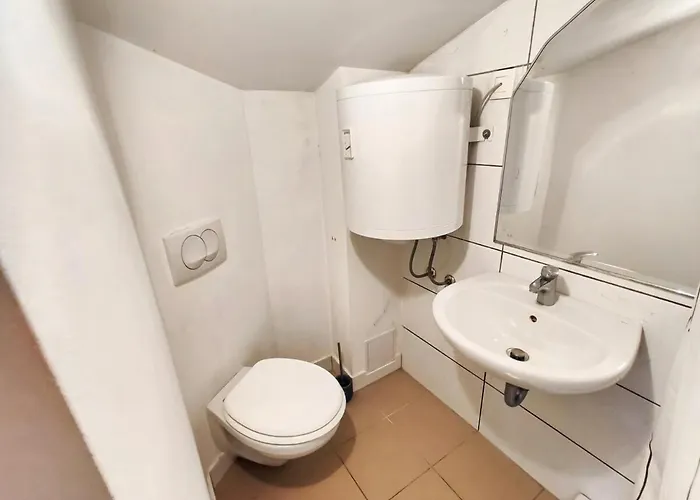 Cozy Renovated New Lublaň