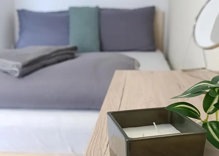 Cozy Renovated New Apartament *